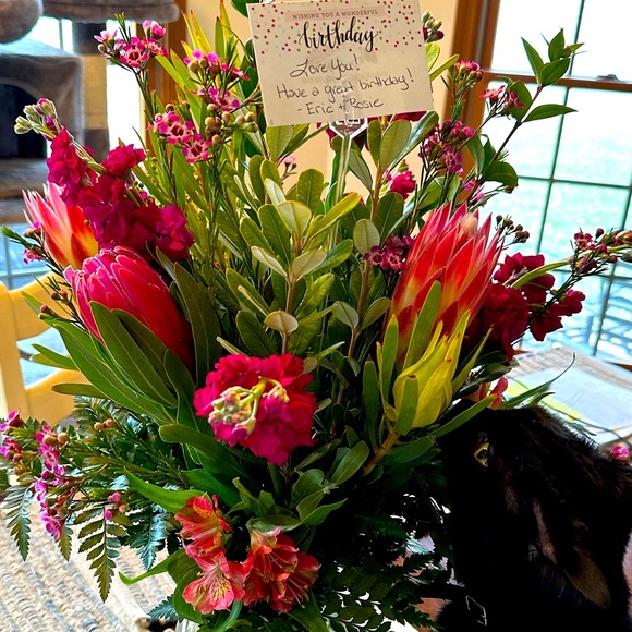 Happy Valentine’s Day PFF’s Comments full go 3rd FG♥️🐈‍⬛🦋💛🌸Top of Closet🐈‍⬛ - Picture 9 of 10